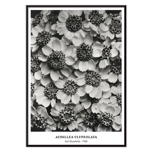 , with black aluminium frame on white background