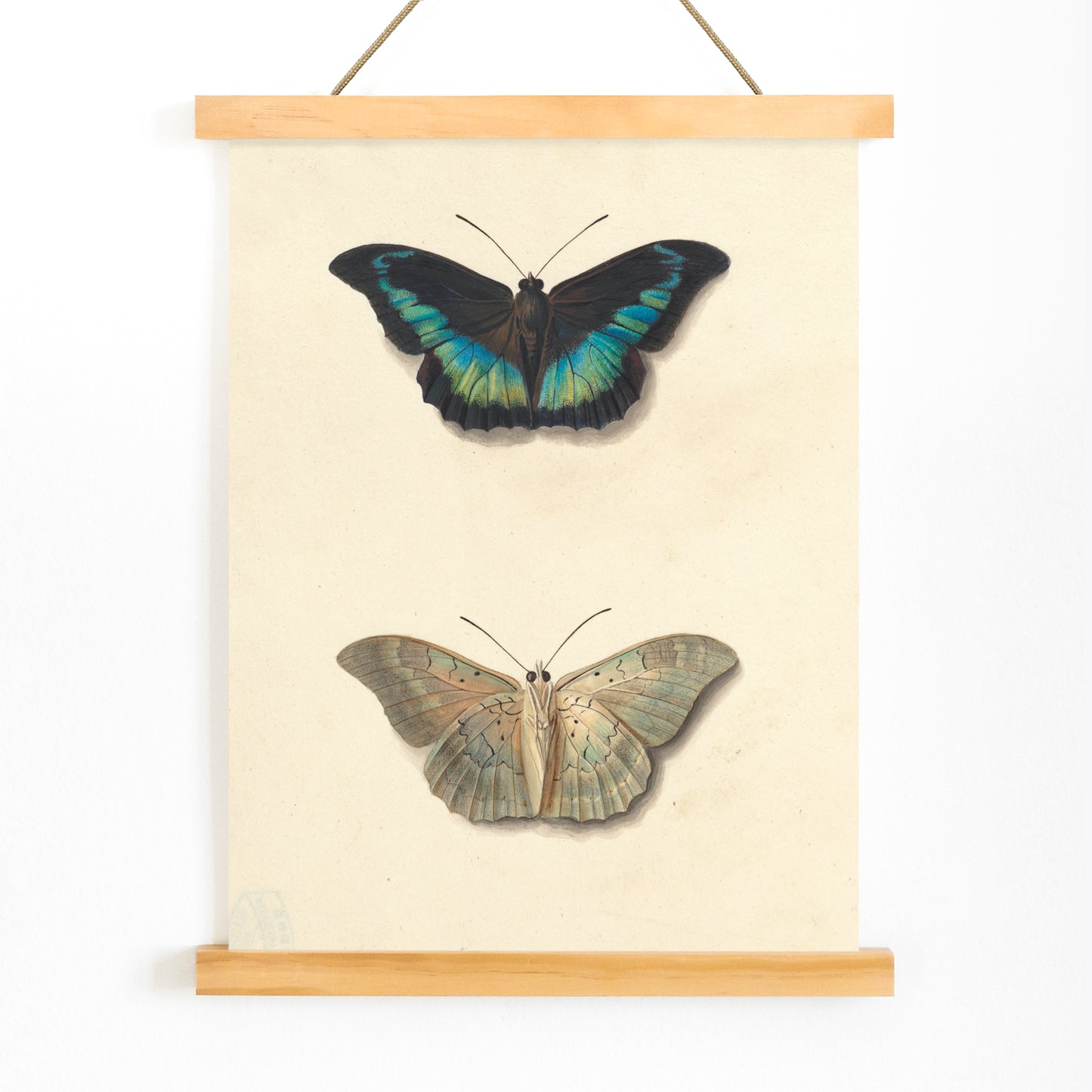 Colorful detailed butterflies by Georgius Jacobus Johannes van Os on cream background illustration and poster, with wooden magnetic frame on white background