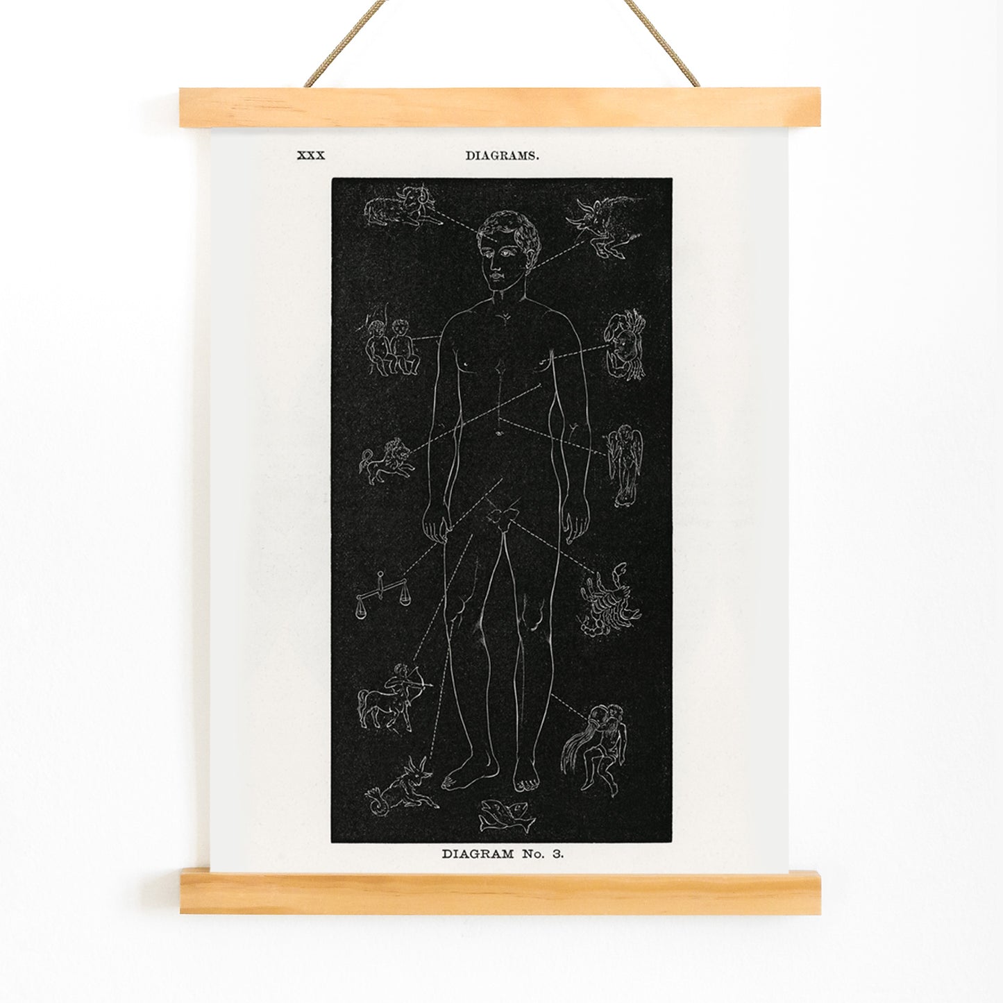 Human body diagram with astrological zodiac symbols and body part connections from Solar Biology by Hiram Erastus Butler, with wooden magnetic frame on white background