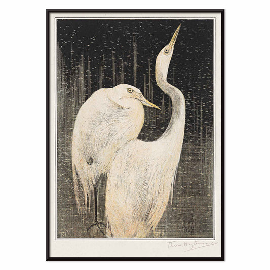 Two white herons depicted in artwork Twee zilverreigers by Theo van Hoytema poster suitable for wall decor against a dark background, with black aluminium frame on white background