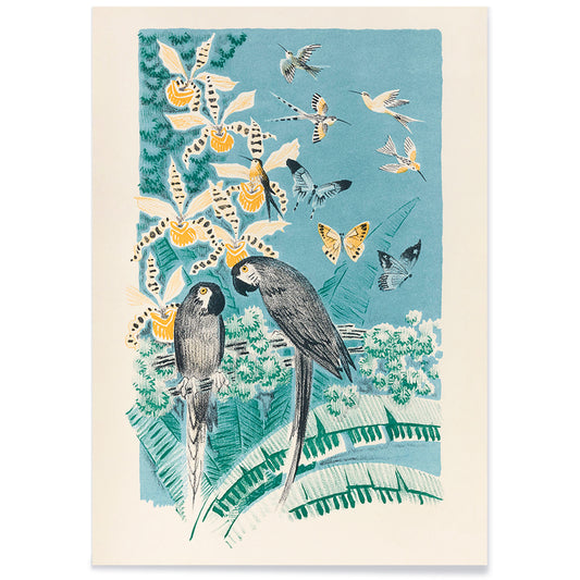 Colorful parrots butterflies and birds in a lush tropical garden illustration from Douze contes de Paris et de Provence by Paul Arène, with black aluminium frame on white background