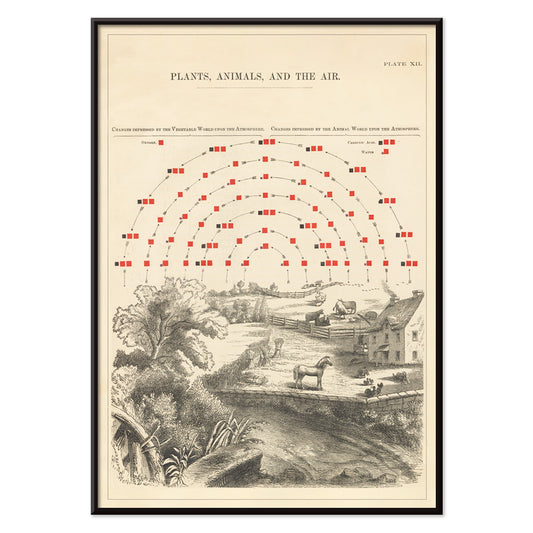 , with black aluminium frame on white background