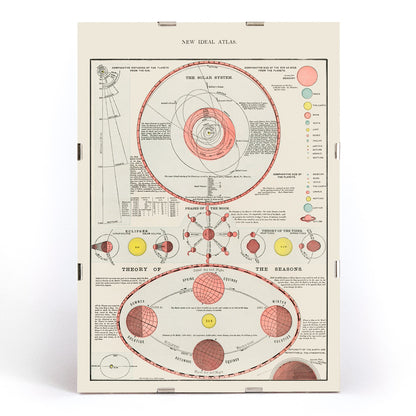 , framed and displayed in modern living room decor