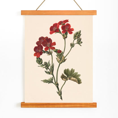 Botanical illustration of red flowers with green leaves by M de Gijselaar poster artwork, with wooden magnetic frame on white background