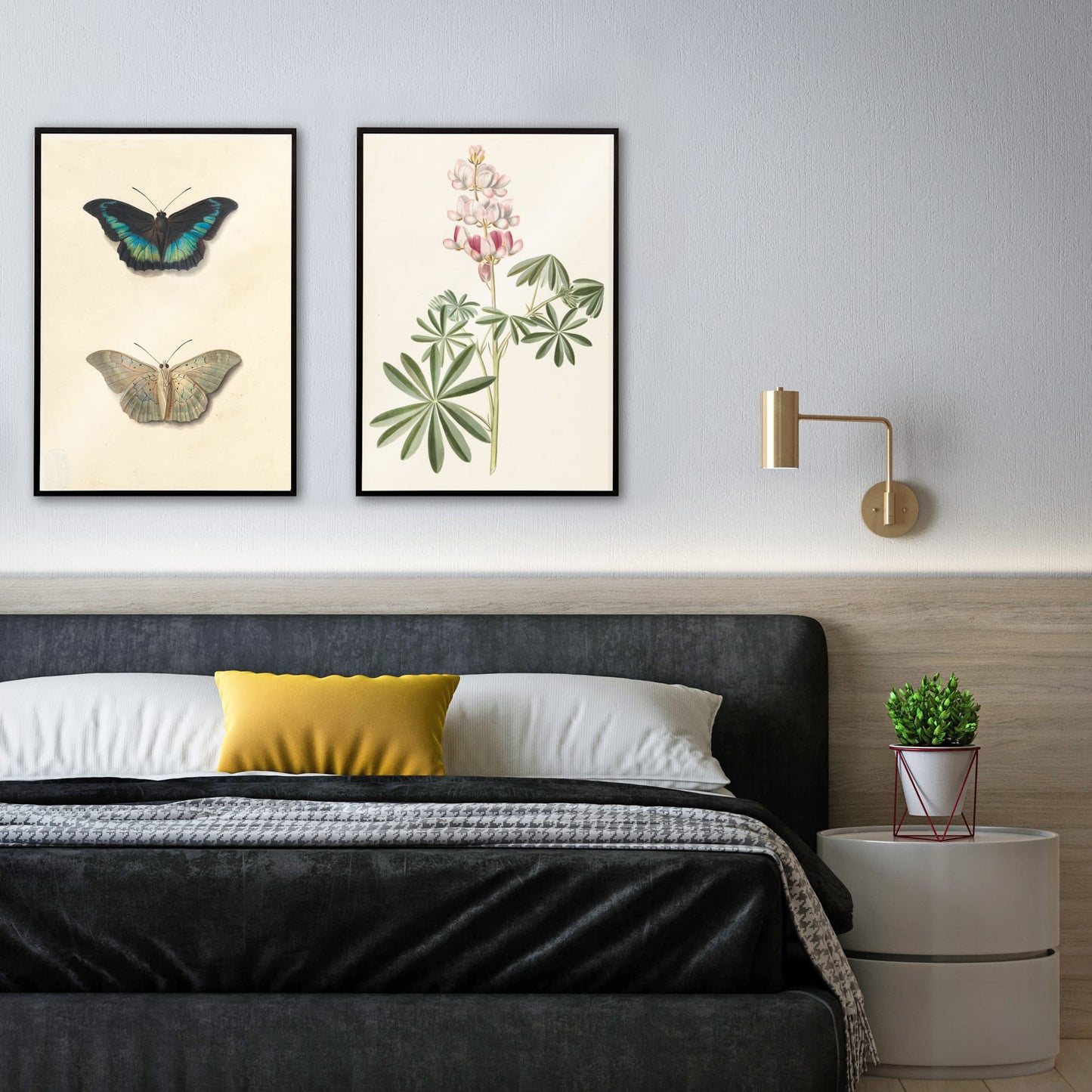 Botanical illustration poster of lupine flowers with green leaves by Alida Withoos, framed and displayed in home decor