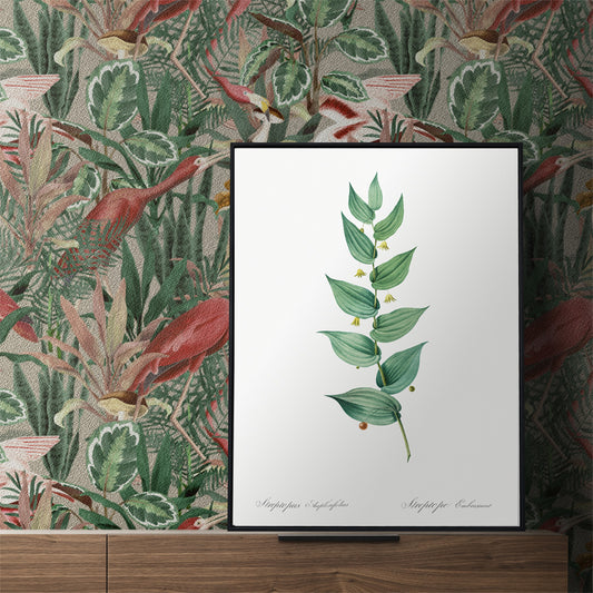 Botanical illustration poster of twistedstalk plant from Les liliacees by Pierre Joseph Redoute with green leaves and berries, framed and displayed in home decor
