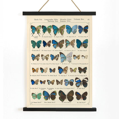 Colorful illustration of exotic butterflies in vibrant colors from Exotic butterflies Pl.097 by Otto Staudinger, with wooden magnetic frame on white background
