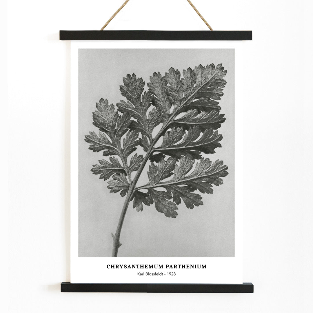 , with wooden magnetic frame on white background