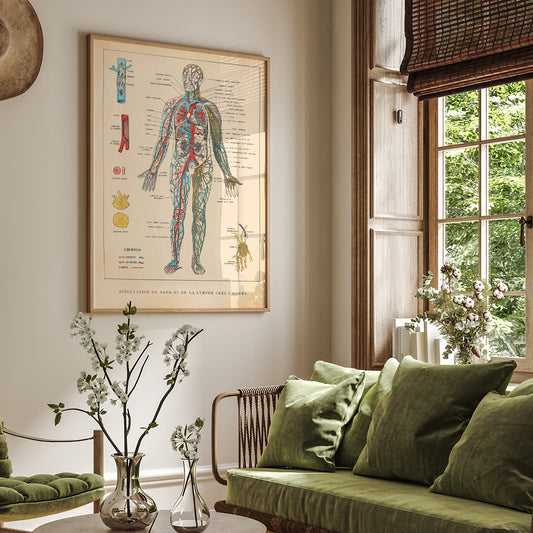 , framed and displayed in home decor