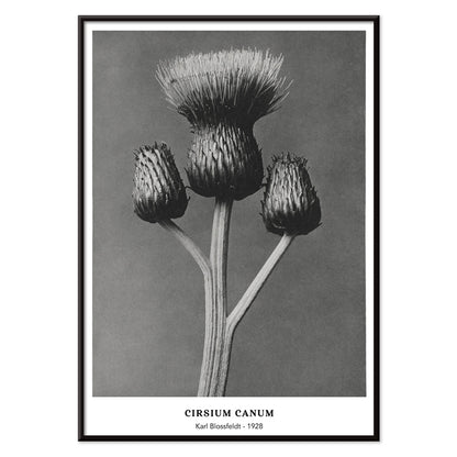 , with black aluminium frame on white background