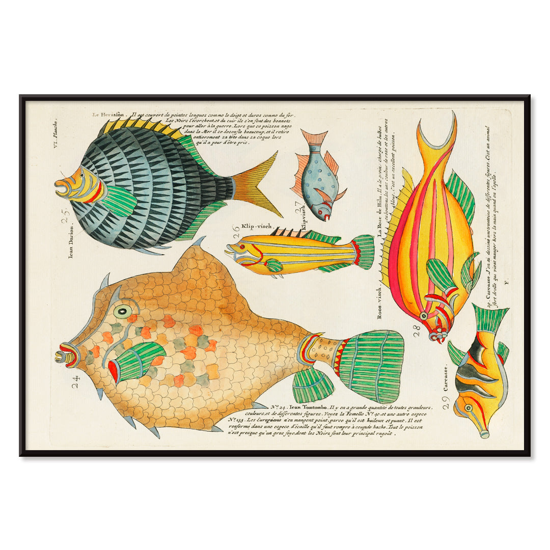 , with black aluminium frame on white background