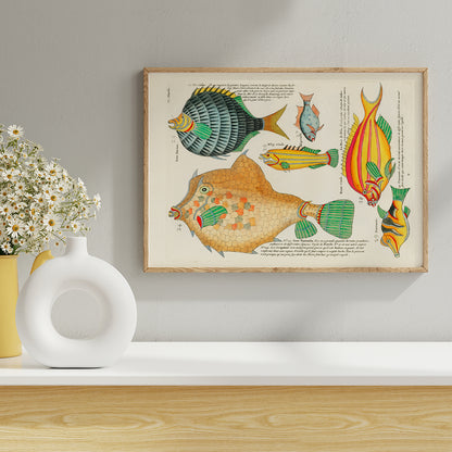 , framed and displayed in home decor