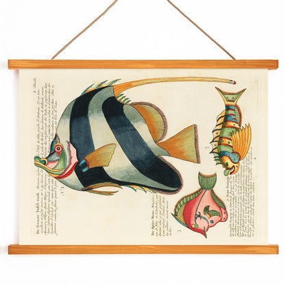 , with wooden magnetic frame on white background