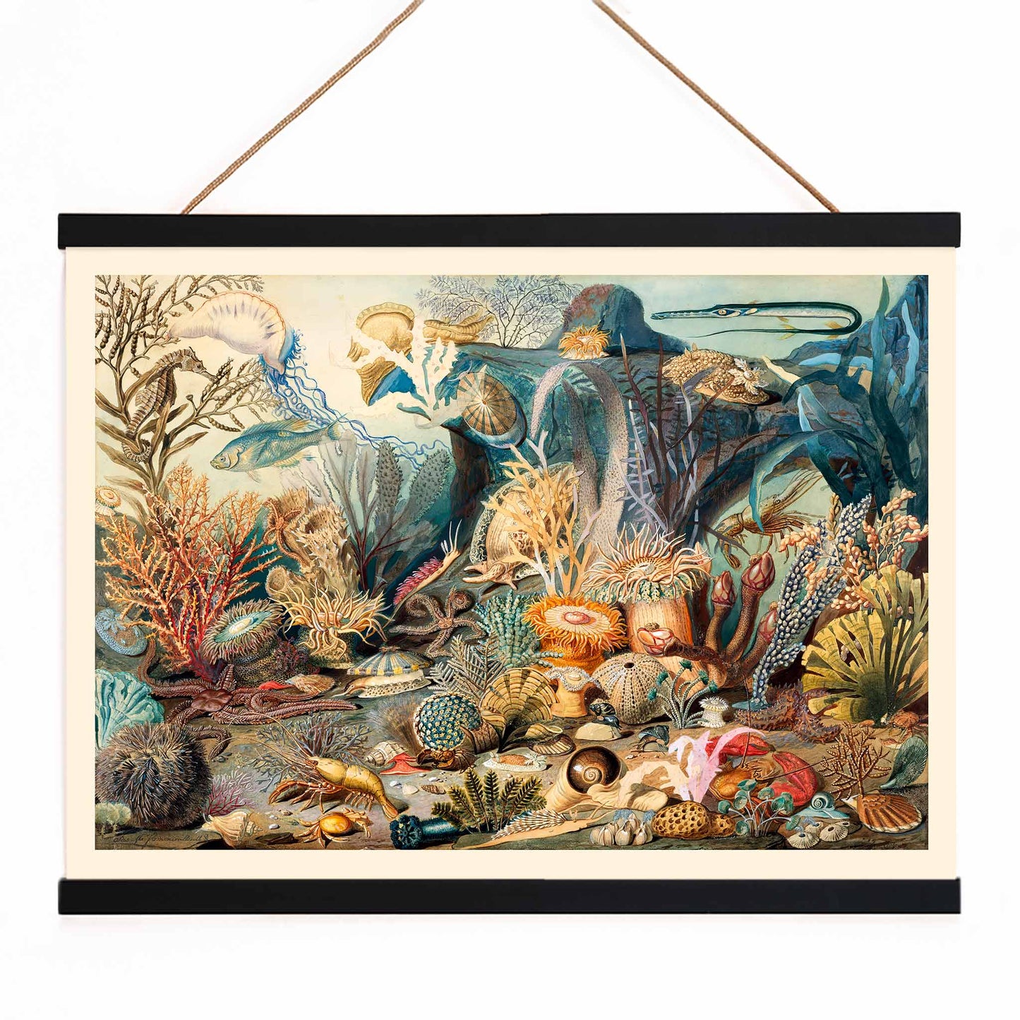 Vibrant underwater scene with colorful marine life plants and sea creatures artwork Ocean Life by James M Sommerville, with wooden magnetic frame on white background