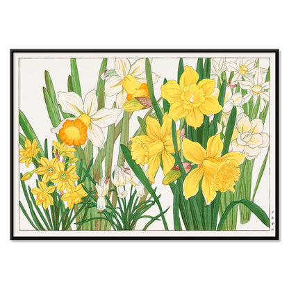 Daffodil woodblock painting by Tanigami Konan vibrant yellow and white floral artwork poster, with black aluminium frame on white background