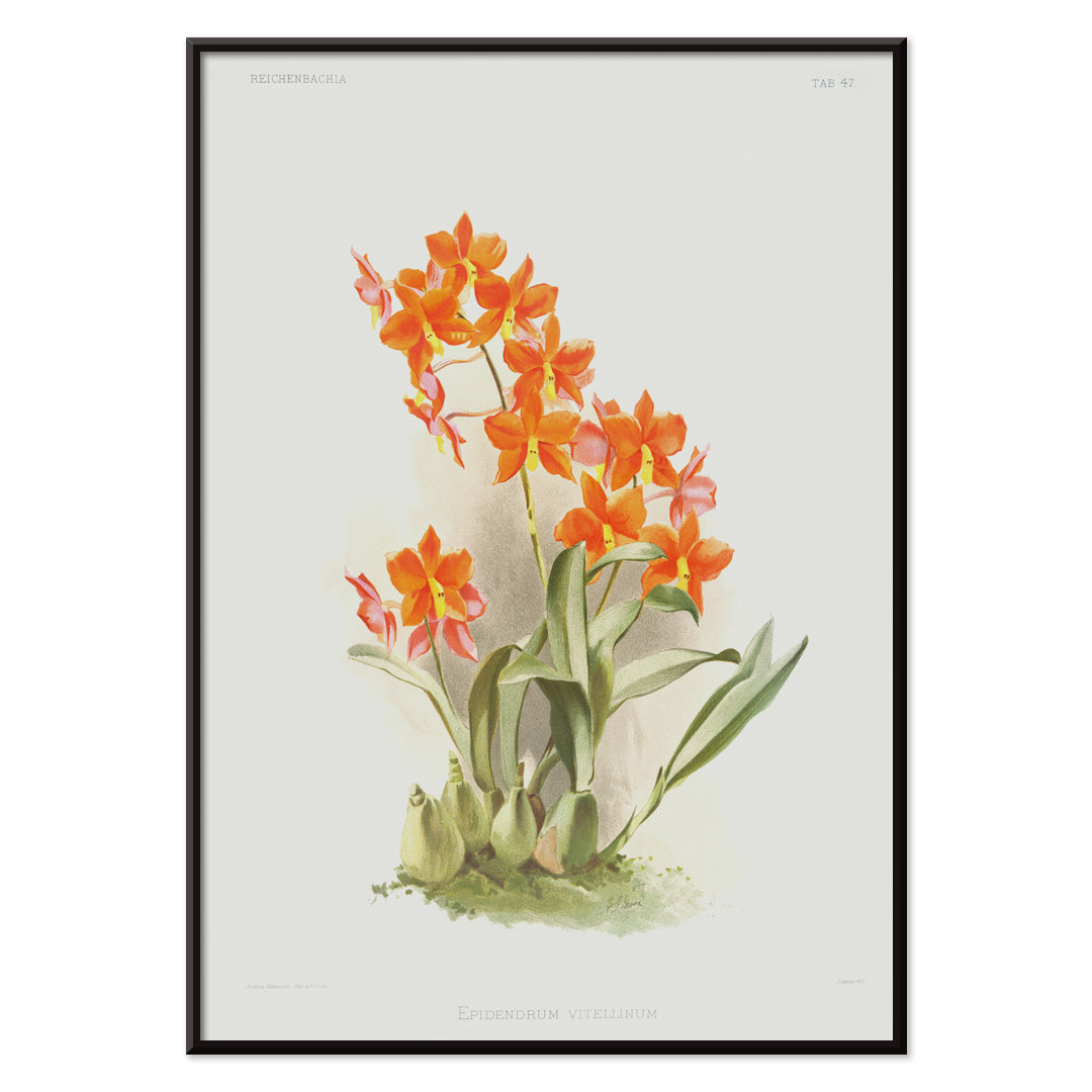 , with black aluminium frame on white background