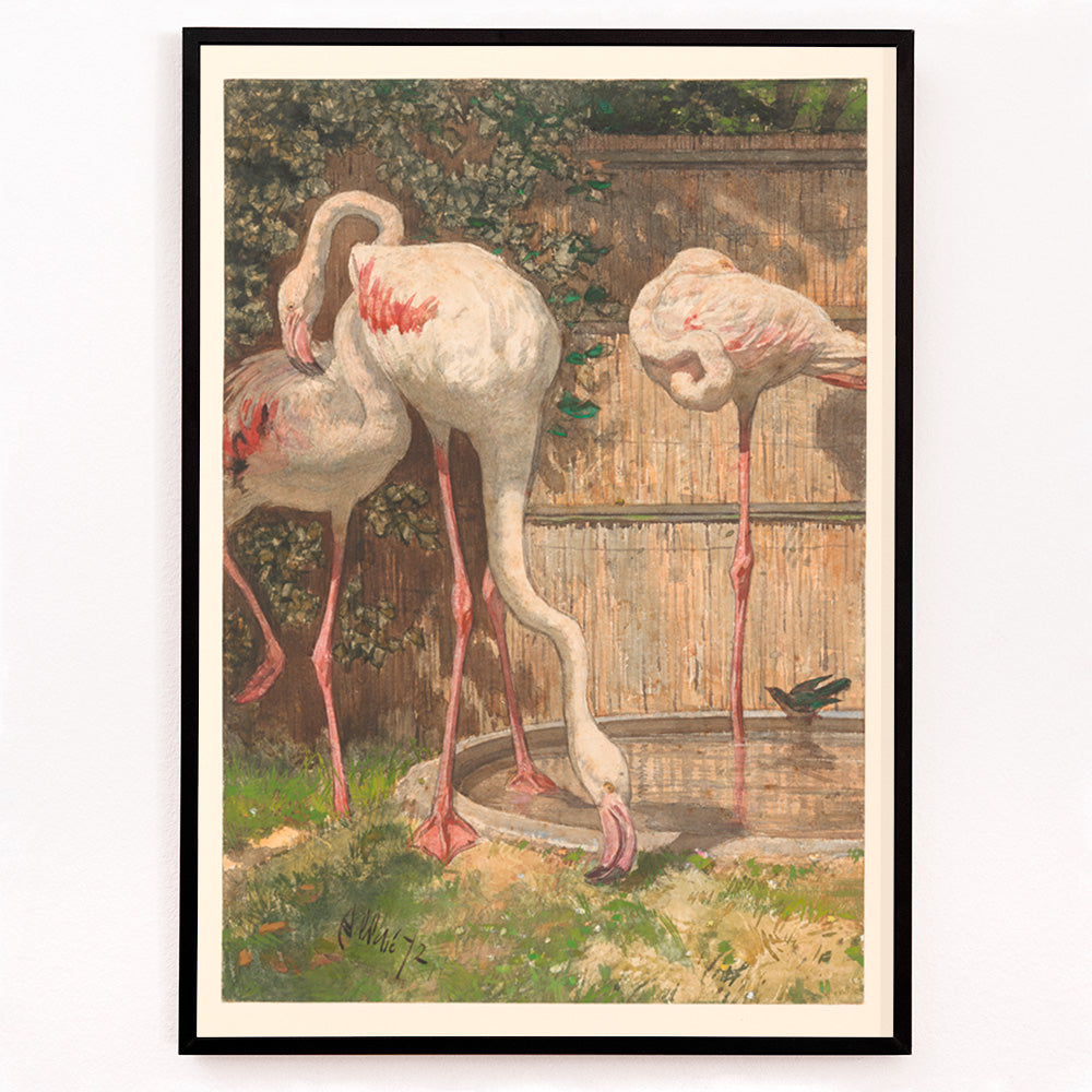 Closeup detail of Three flamingos standing and drinking near a basin in a garden artwork by August Allebé titled Three Flamingos near a Basin poster