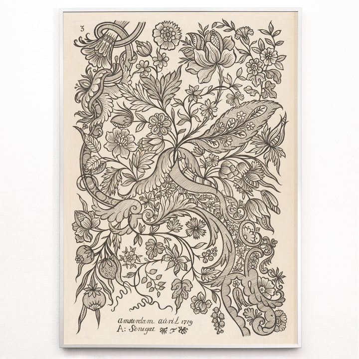 Closeup detail of Floral textile pattern and botanical line art poster with intricate flowers by Alexander Senegat Design for textiles Flowers
