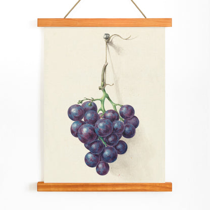 Realistic painting and poster of a bunch of blue grapes on a vine by Jean Bernard with light background, with wooden magnetic frame on white background