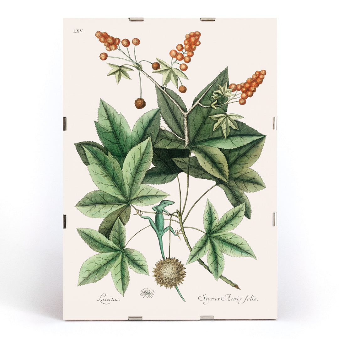 , framed and displayed in modern living room decor