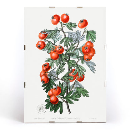 , framed and displayed in modern living room decor