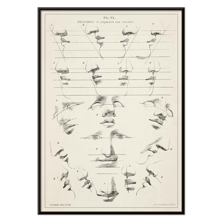 John Rubens Smith human figure drawing study poster with black and white facial feature sketches, with black aluminium frame on white background