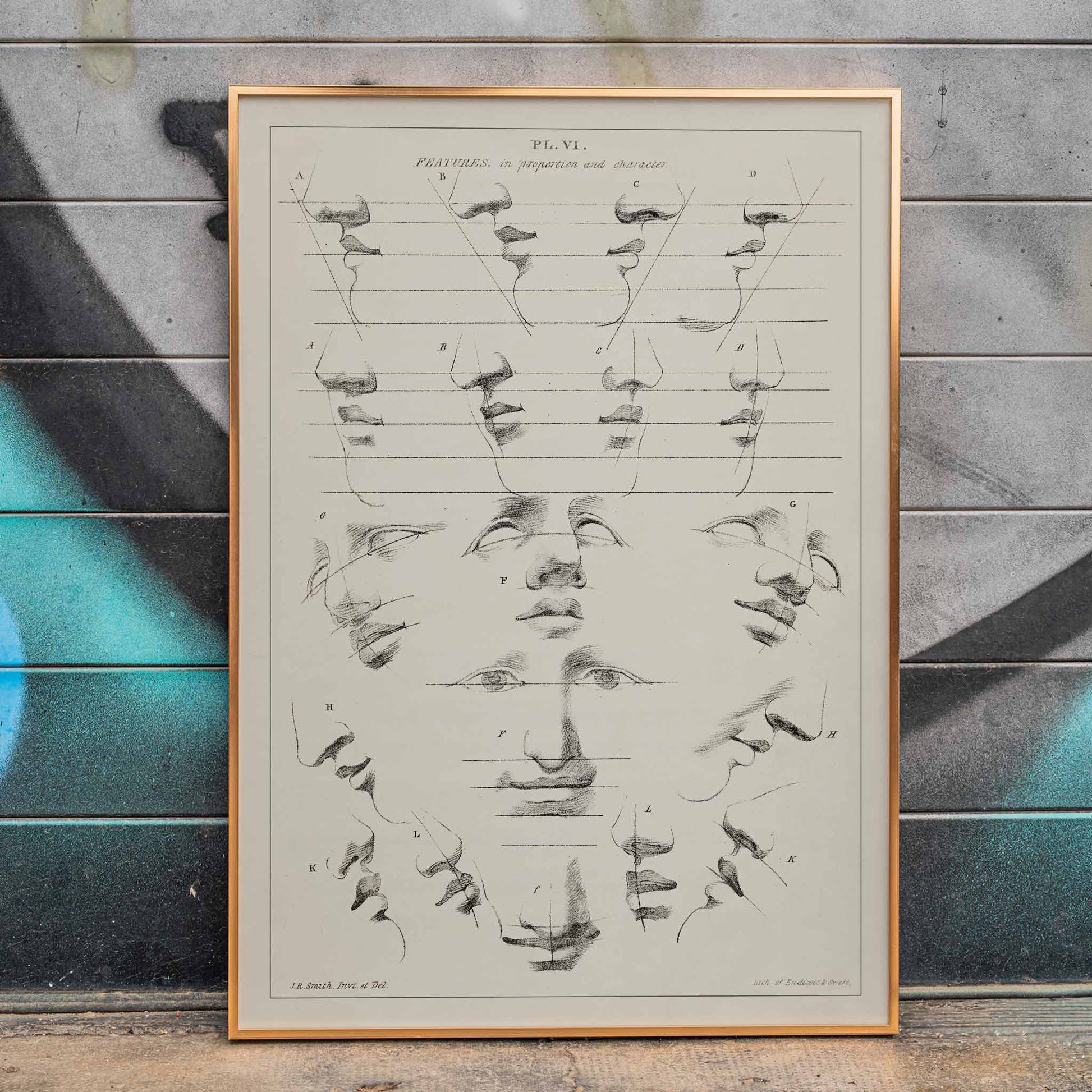 John Rubens Smith human figure drawing study poster with black and white facial feature sketches, framed and displayed in home decor