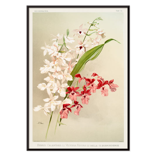 , with black aluminium frame on white background