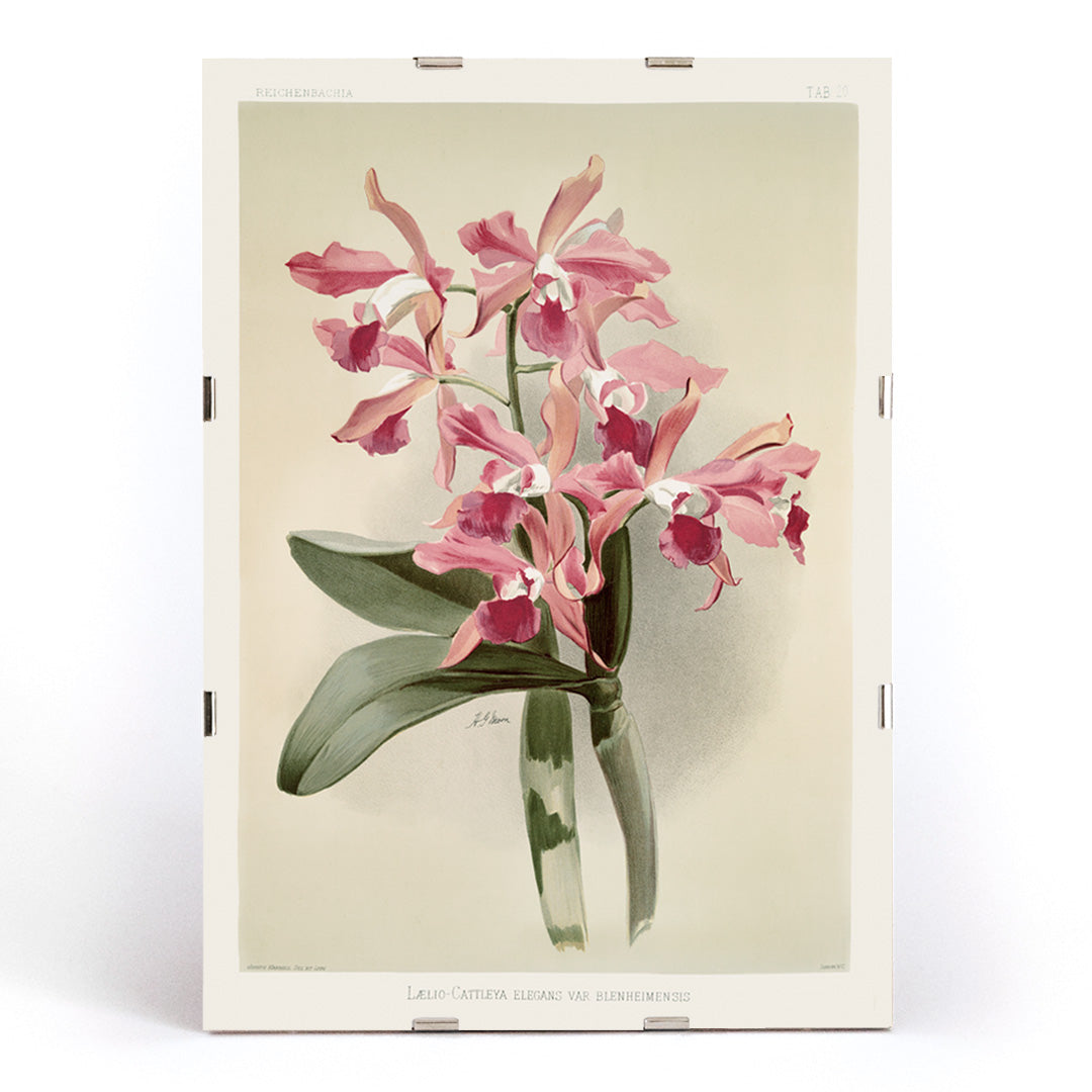 , framed and displayed in modern living room decor