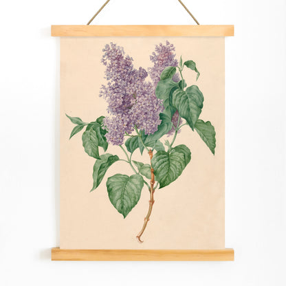 Botanical illustration poster of purple lilacs with green leaves titled Purple Lilacs by Maria Geertruida Barbiers-Snabilie, with wooden magnetic frame on white background