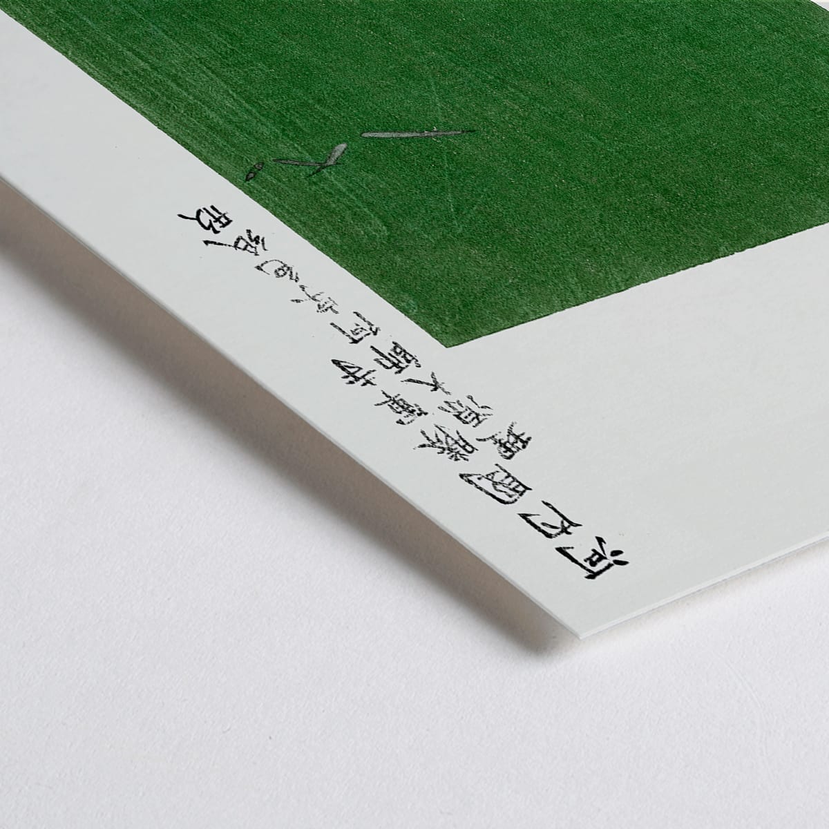 Closeup detail of Minimalist Japanese vintage woodblock print poster of green field with birds by Taguchi Tomoki from Yatsuo no tsubaki