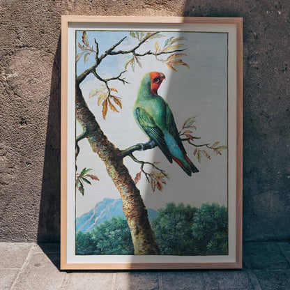 Colorful parrot on a tree branch with mountain landscape Bird Study painting by George Edwards poster artwork, framed and displayed in home decor