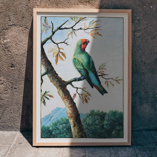 Colorful parrot on a tree branch with mountain landscape Bird Study painting by George Edwards poster artwork, framed and displayed in home decor