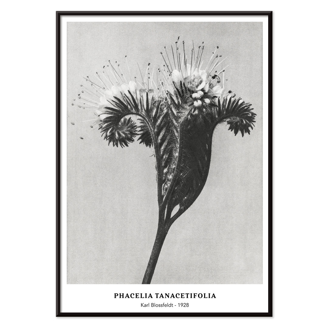 , with black aluminium frame on white background