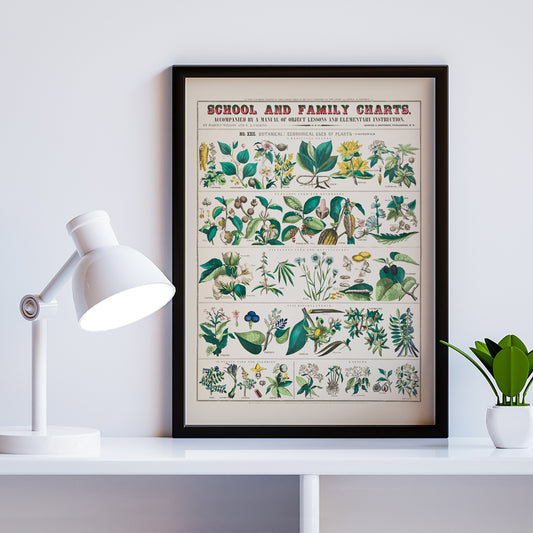 , framed and displayed in home decor