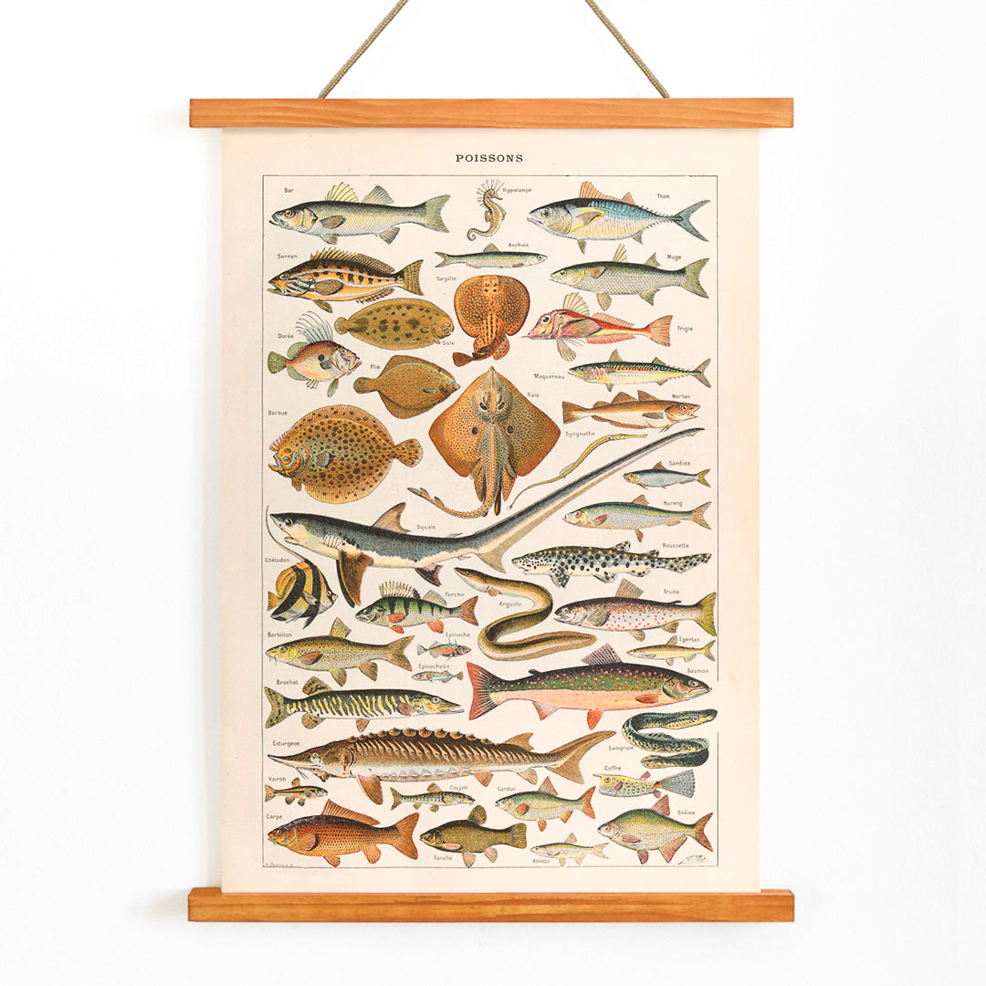 , with wooden magnetic frame on white background