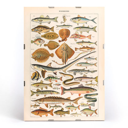 , framed and displayed in modern living room decor