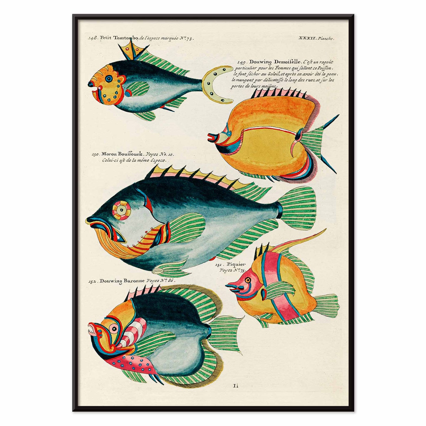 Colorful surreal fish illustrations from Histoire naturelle des plus rares curiositez by Louis Renard featuring exotic marine life of Moluccas and East Indies poster, with black aluminium frame on white background