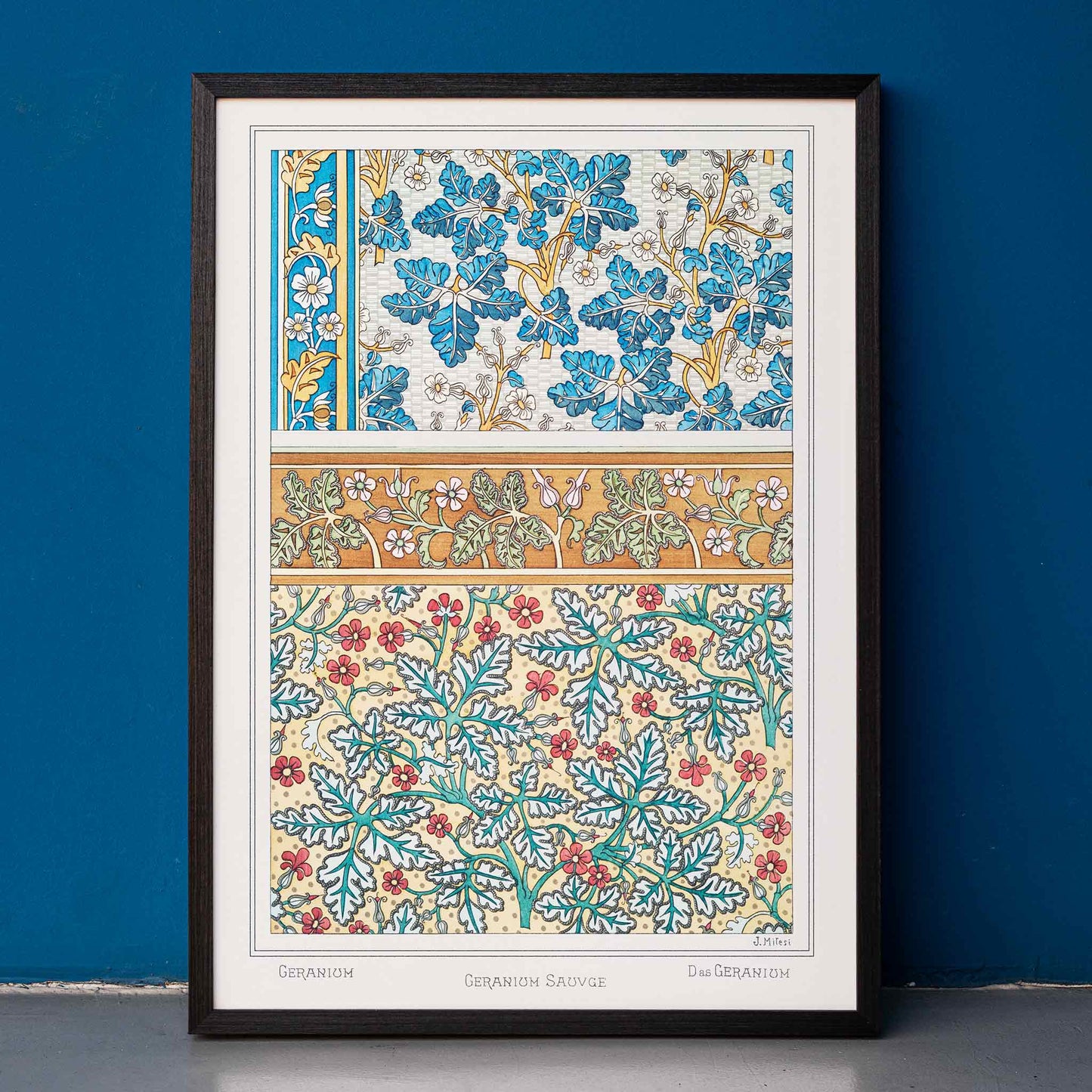 Decorative wild geranium botanical artwork and floral pattern poster by Maurice Pillard Verneuil from La Plante et ses Applications ornementales, framed and displayed in home decor