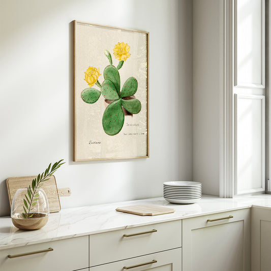 , framed and displayed in home decor