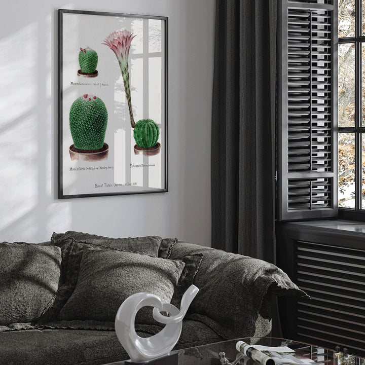 Closeup detail of Botanical illustration and poster of Rainbow Pincushion cactus Easter lily Mammilaria nivea Mammilaria fulvispina Echinopsis Zuccariniana and other cacti from Familie Der Cacteen