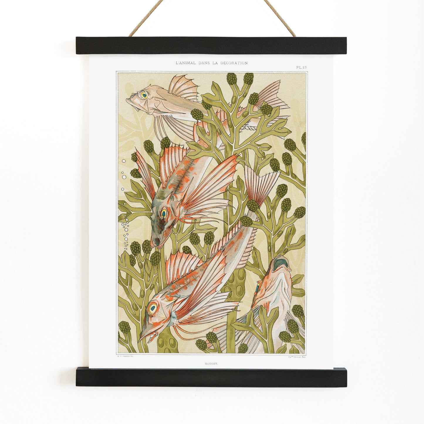 Poster of colorful red mullet fish swimming among green algae titled Red mullet and Algae by Maurice Pillard Verneuil, with wooden magnetic frame on white background