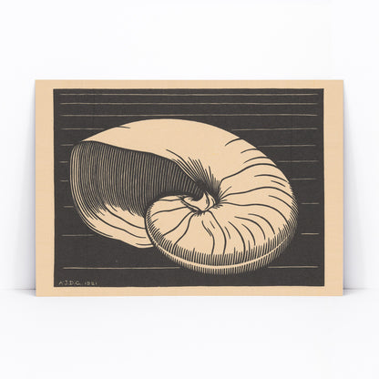Black and white and beige shell illustration by Julie de Graag linocut artwork poster perfect for art and nature lovers, framed and displayed in modern living room decor