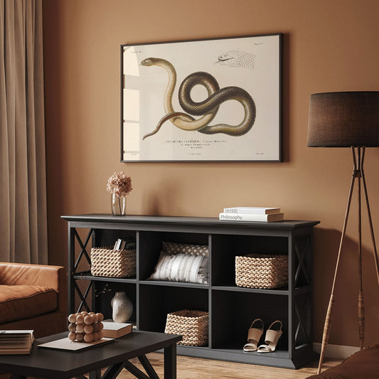 Detailed illustration of a snake by Louis-Isidore Duperrey from Voyage autour du monde Pl.005 poster, framed and displayed in home decor