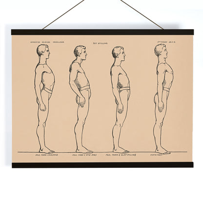 N.C. Roms Standing posture study poster with four side view figures in black line on beige background, with wooden magnetic frame on white background