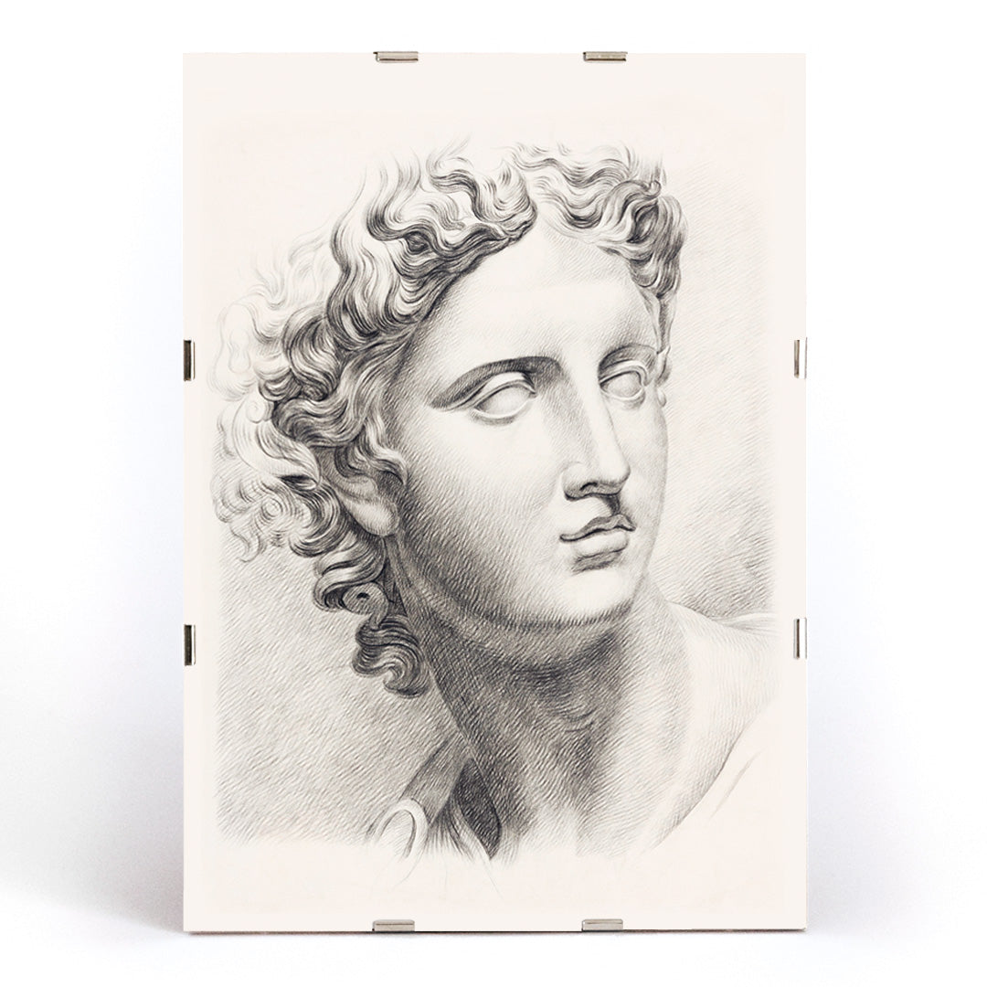 Academy study of a mans head after a plaster cast antique statue by Johannes Tavenraat detailed drawing and poster, framed and displayed in modern living room decor