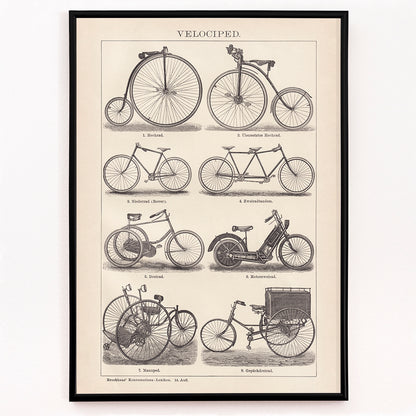 Closeup detail of Vintage bicycle types and illustrations by Bibliographic institute of Liepzig Velociped with labeled bike types