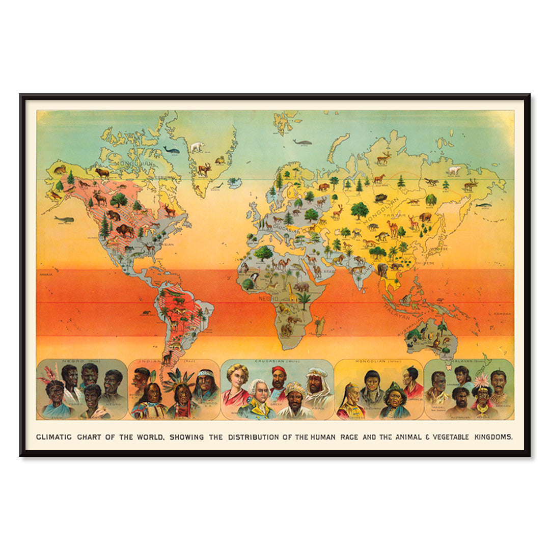 , with black aluminium frame on white background